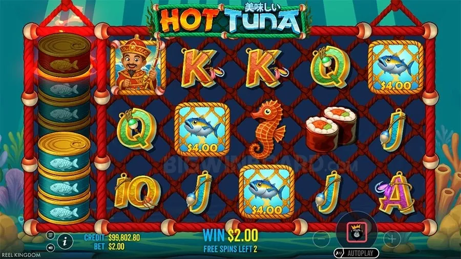365taya Effective Bankroll Management